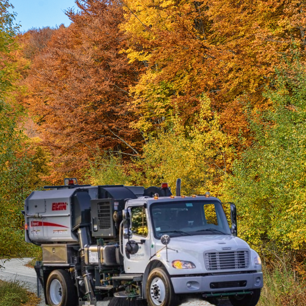 Grand Rapids Fall Sweeping